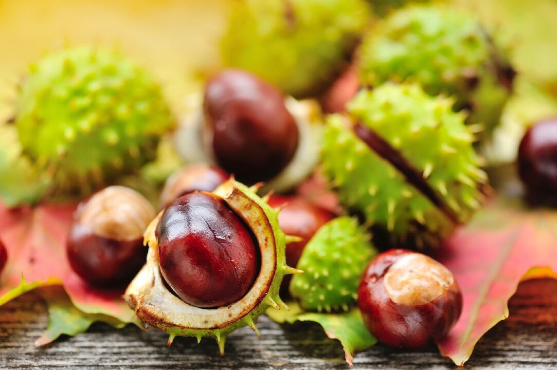 Rosskastanie bei chronischer Prostatitis